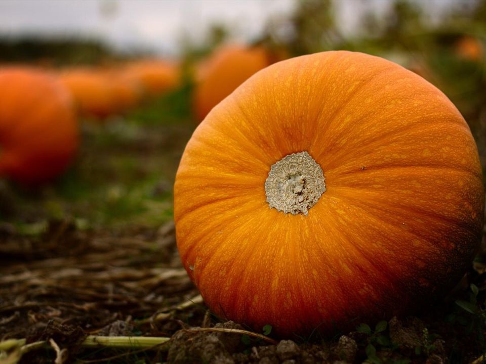 ��� ������� ��������� ����� ��� ����� ���������� ��������