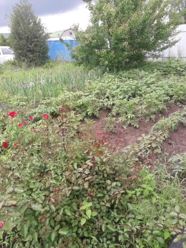 ����� ���� ���������� ������ �� ���: ��� ��������� ���������� ������� ����� � ���� �����