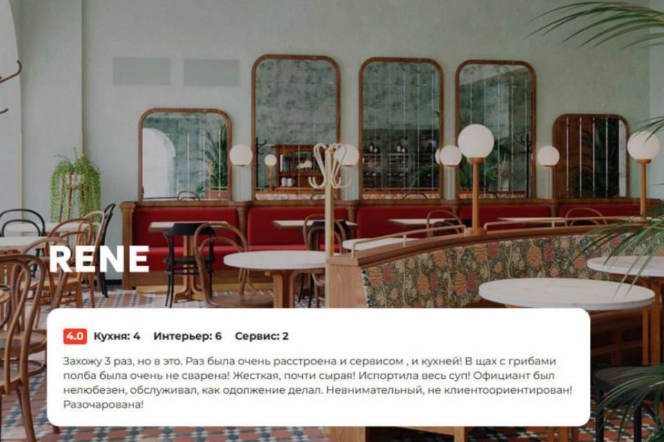 ���� Rene: �������� � ���������� �������������� ����������������� ����