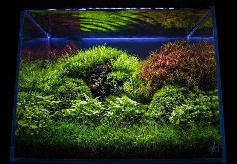 ����� ��������� ���� ����� ��� ���������� ���������?