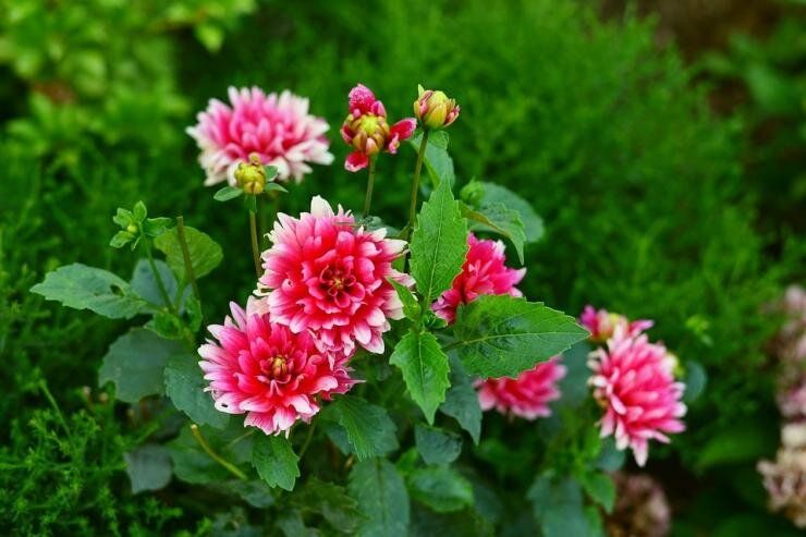 ���������� ��������: ������� ��� ������� ������ � ������ �������