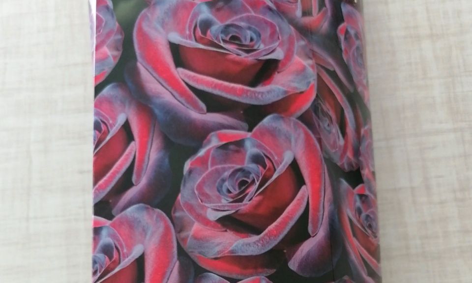 Как правильно выбирать саженцы роз: советы для успешного старта весны