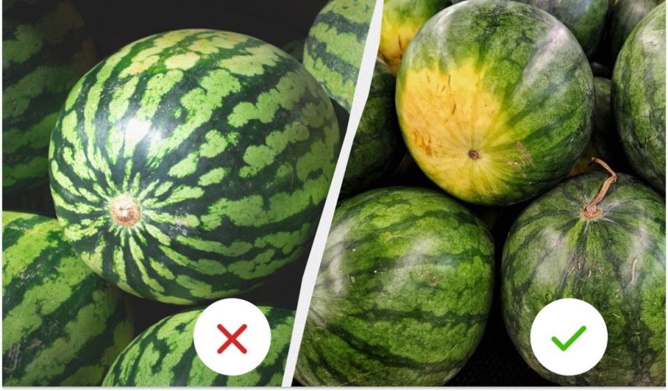 ��� ������� ��������� �����: ������� �������� � ��������