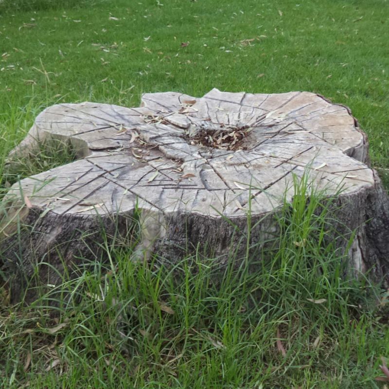 ������� ������ ������ ��� �� ���� ��� ������ ������