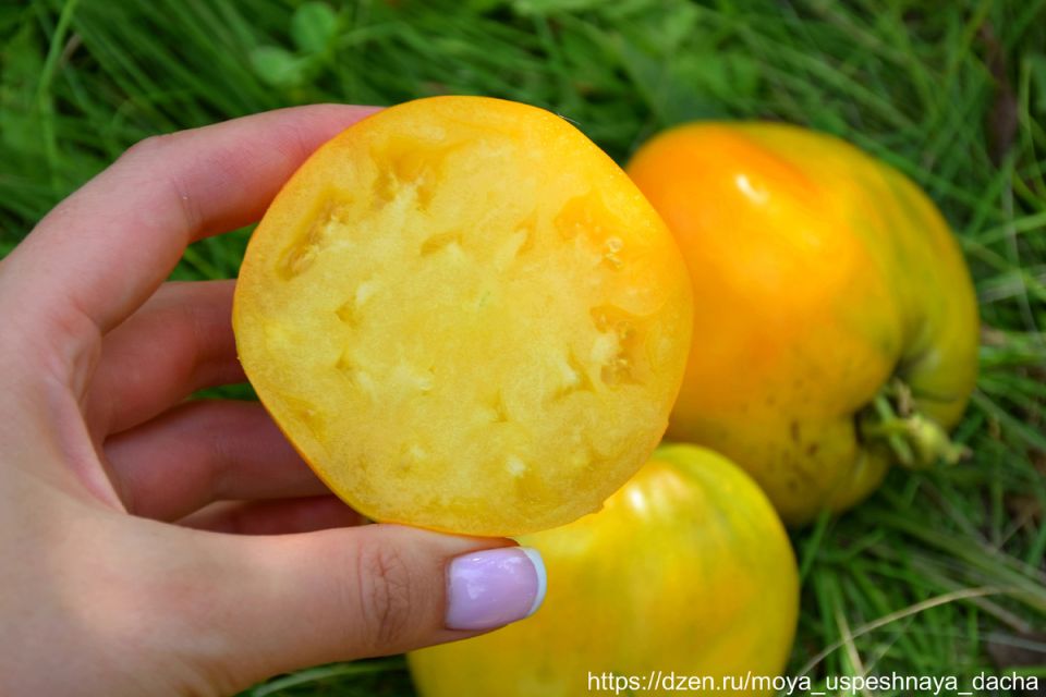 �����, ������� �������� ������: ����������� � ��������� ����