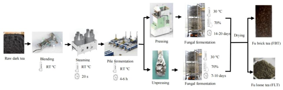 ��������� ������������� � ���������� �� ������