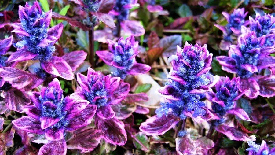 ������������� ����� ��� ������ ����: ������� ��������� �� ����� ���������